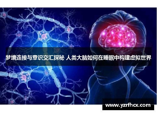 梦境连接与意识交汇探秘 人类大脑如何在睡眠中构建虚拟世界